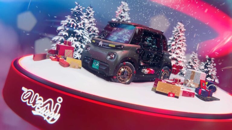 Glob de Craciun Citroen