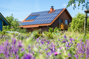 Read more about the article Panouri Fotovoltaice: Energie Verde pentru Viitor